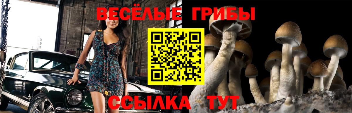 Губкин  Галлюциногенные грибы ЛСД  Псилоцибиновые грибы Psilocybe  Вход с VPN 